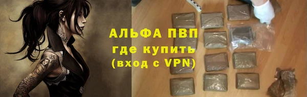 СК Арсеньев