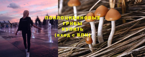 твердый Инсар