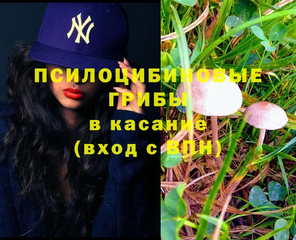 СК Арсеньев