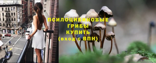 СК Арсеньев