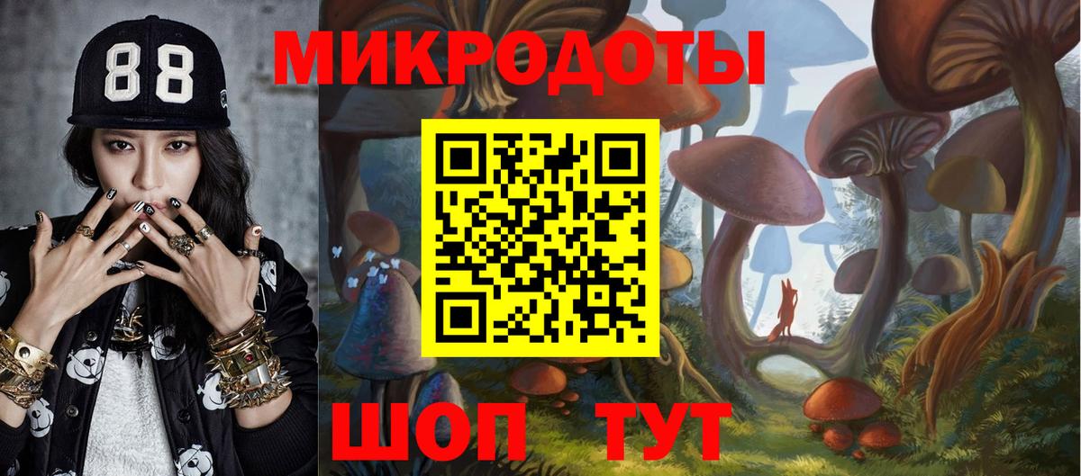 Псилоцибиновые грибы прущие грибы Новый Уренгой