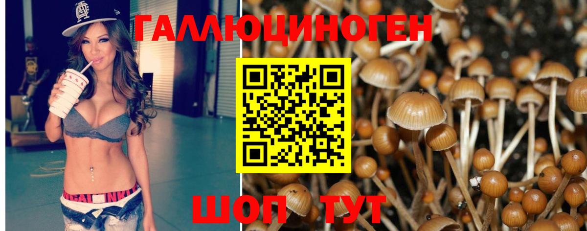 Псилоцибиновые грибы GOLDEN TEACHER  Вход с VPN  Новый Уренгой  Галлюциногенные грибы MAGIC MUSHROOMS 