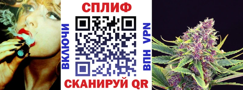 кракен как войти  Новый Уренгой  Конопля планчик 